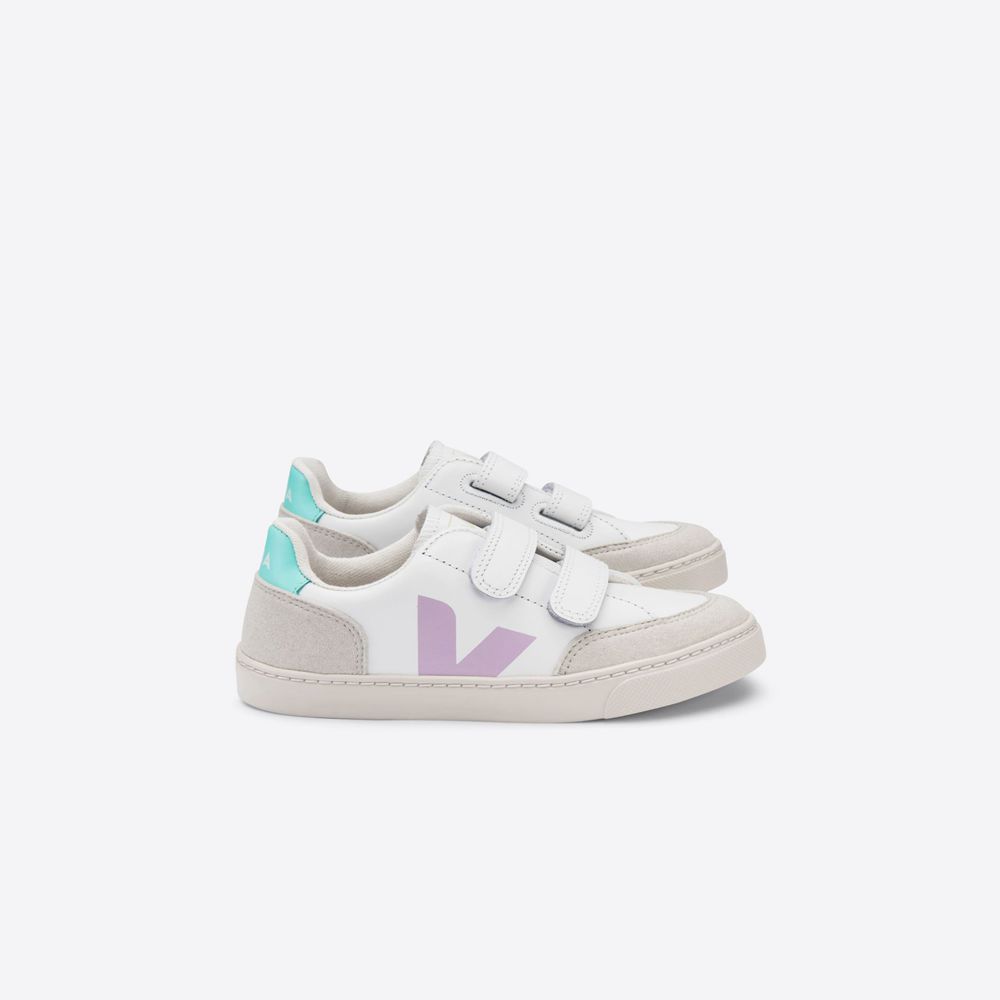 Veja discount v12 rose